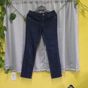 LOFT Dark Blue Skinny Jeans